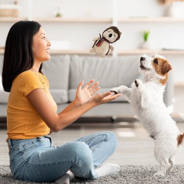 Набір плюшевих іграшок для собак THE TWIDDLERS, 6 шт., різдвяна тематика