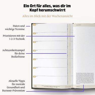 Гарний план на 2026 рік Цілісний календар зустрічей для більшої усвідомленості та меншого стресу Сталий тижневий планувальник із 56 порадами та цитатами щодо усвідомленості, далеко не кітч (Nature 2026)