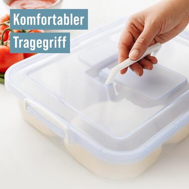 Коробка для тіста для піци Chef Pomodoro Коробка для піци Коробка для тіста для піци з кришкою Коробка для піци Контейнер для тіста для піци Аксесуари для піци Коробка для розстойки Деко для тіста (Синій, 35,6 x 27,9 см) Синій 35,6 x 27,9 см