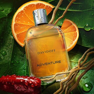 Туалетна вода Davidoff Adventure (100 мл)