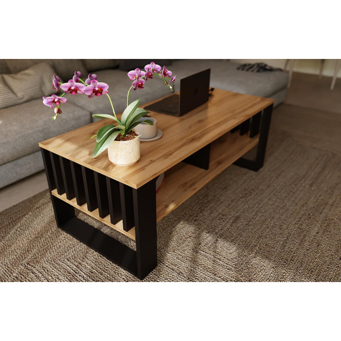 Журнальний столик Meble Pitus Сучасний стіл для вітальні Журнальний столик з місцем для зберігання 90 x 50 x 50 см Стіл для вітальні Меблі з рейковими елементами Вічний дуб