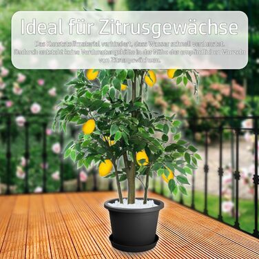 Квітковий горщик Stimo 6 шт. 34 см з блюдцем 30 см, сірий пластиковий горщик для рослин, круглий горщик (антрацит)