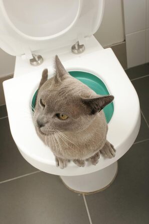 Система привчання котячого туалету LITTER KWITTER Doogie Stuff LK1, 3 кроки