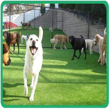 Туалет для собак, килимки зі штучної трави, килимок для дресирування собак, що миється, килимки для дресирування маленьких, великих та старших собак (45 * 60 см) 45 * 60 см