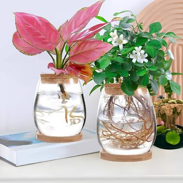 Ваза для закваски насіння авокадо Скляний плантатор Гідропонна скляна ваза для водних рослин або квітів Домашній офіс Оформлення столу 2 шт., 12x11