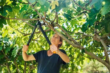 Садові секатори Fiskars PowerGear II з обвідним механізмом для свіжої деревини, з антипригарним покриттям, виготовлені з міцної інструментальної сталі, довжина 55 см, чорно-помаранчеві, L74, 1000582 L74 (діаметр гілок до 3,8 см)