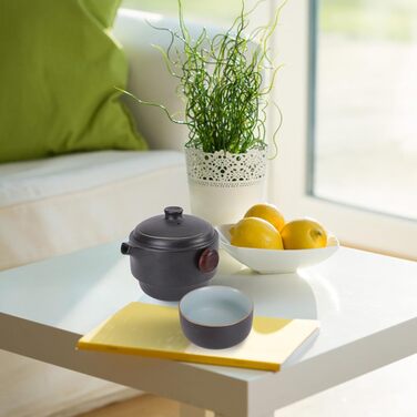 Набір для чаювання Кунг-Фу з кераміки, портативний, з кришкою та ситечком ідеальний вибір для любителів чаю в дорозі