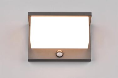 Стічний LED-світильник Trio Leuchten Nestos 240969142, алюміній (антрацит), білий пластиковий плафон, 13 Вт, з датчиком руху