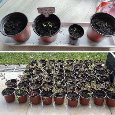 Пластикові горщики для рослин Abimar 10 см, 50 шт. , квіткові горщики для рослин, круглі горщики для вирощування з етикетками для