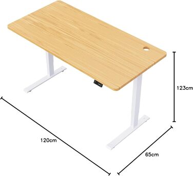 Стіл з електричним регулюванням висоти, функцією пам&39яті, регульованим захистом від зіткнень та плавним пуском/зупинкою для використання вдома (білий) White Max 1, 1