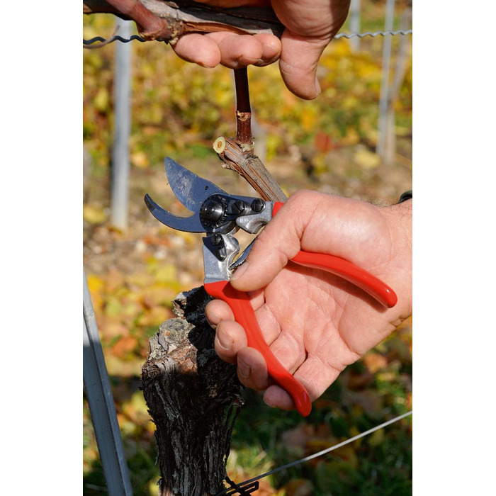 Садові ножиці FELCO 8 зі шкіряною кобурою 910 ергономічний набір для точного зрізання в саду чи винограднику