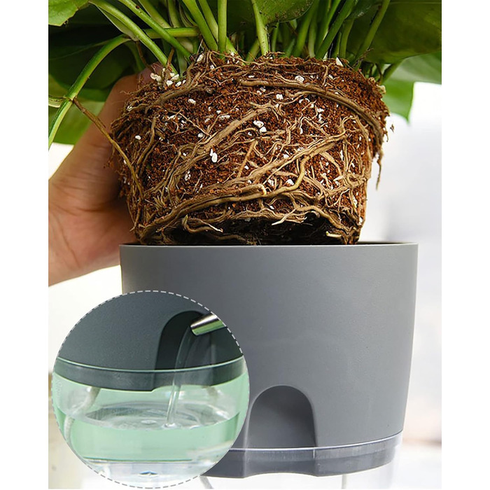 Горщик для квітів з системою поливу, горщик для трав кухонний набір підвіконня самополиваючий-5er Набір трав'яний сад для кухні, 1