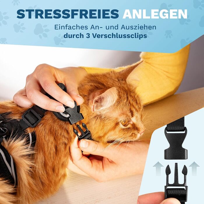 Шлейка для котів Pets Perfect - Надміцна шлейка для котів із повідком, що запобігає втечі - Повідець для котів - Наш комплект шлейок для котів забезпечує безпеку під час прогулянок (S)
