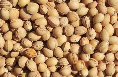 Подушка для плечей та шиї з коміром Вишнева кісточка органічна червона тканина забезпечує тепло для шиї альтернатива традиційній подушці для шиї