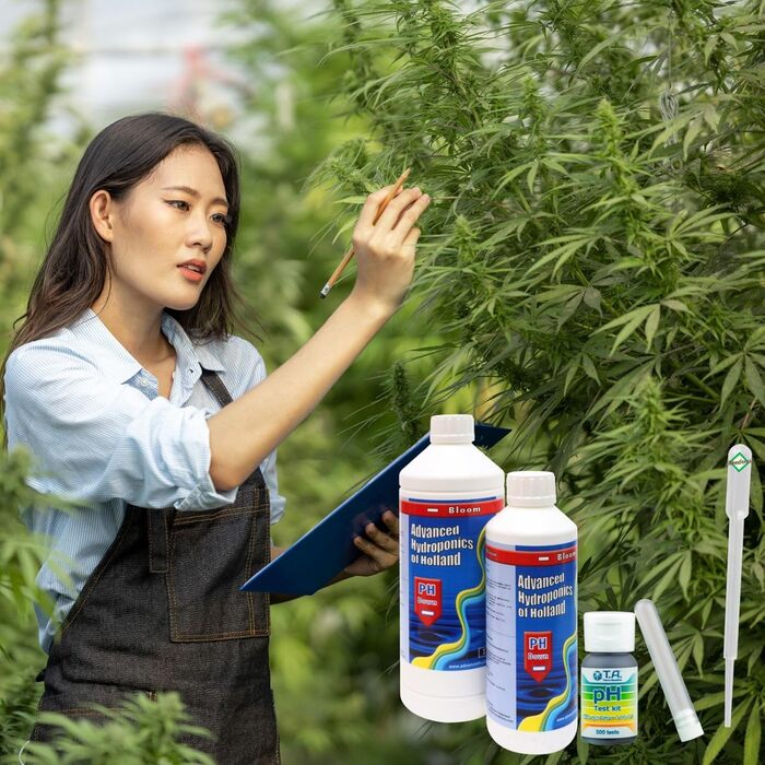 Мл Bloom pH Tester - рН-знижувач добрива рослини вирощують вирощування в закритому грунті пухові гранули помідори газон орхідеї, 500