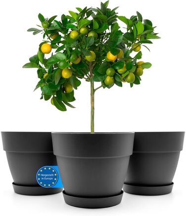 Горщик для квітів з блюдцем круглий ø47 см в антрацитовому кольорі - кашпо підходить для внутрішнього та зовнішнього використання