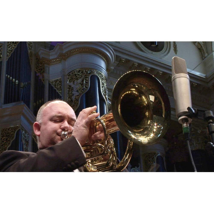 �DE NT1000 Універсальний кардіоїдний конденсаторний мікрофон з великою діафрагмою для запису вокалу та інструментів, чорний