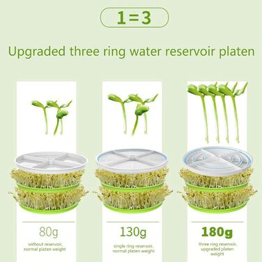 Машина для паростків ДАУЗ, виробник паростків квасолі, 8 Вт, автоматична притискна пластина великої ємності для маринованих овочів (вилка ЄС 220 В)