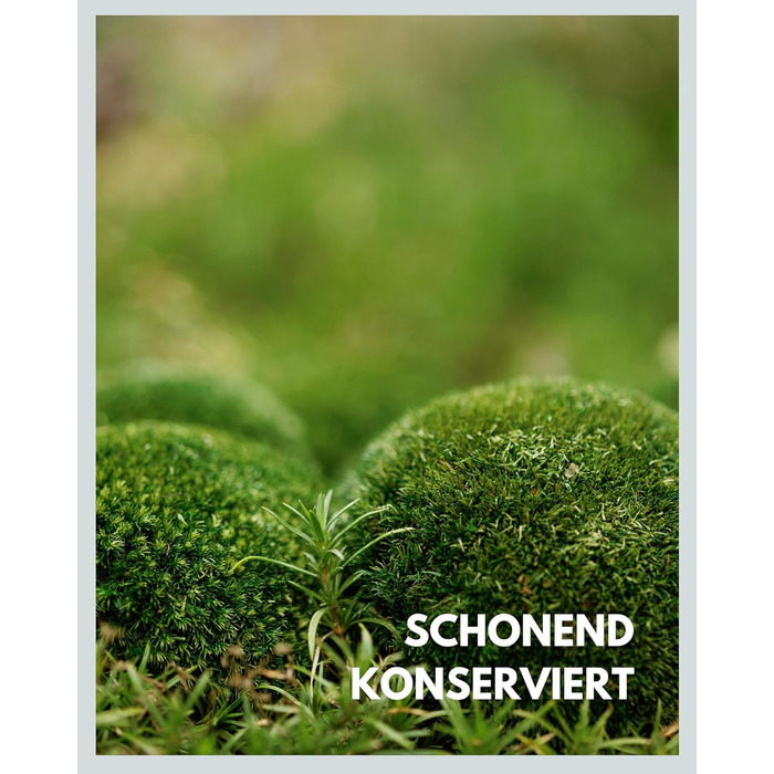 Шаровий мох зберігся Справжній мох для малюнків моху Міцний мох для рукоділля Водостійкий натуральний зелений ісландський мох (250г)