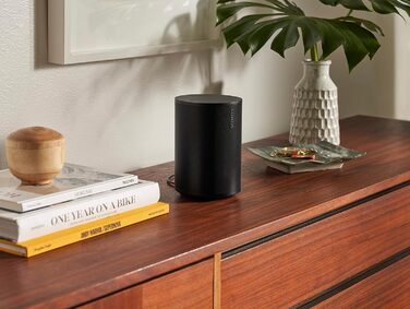 Розумна колонка з WiFi, Bluetooth, сумісна з Storeo Alexa - чорна, 100