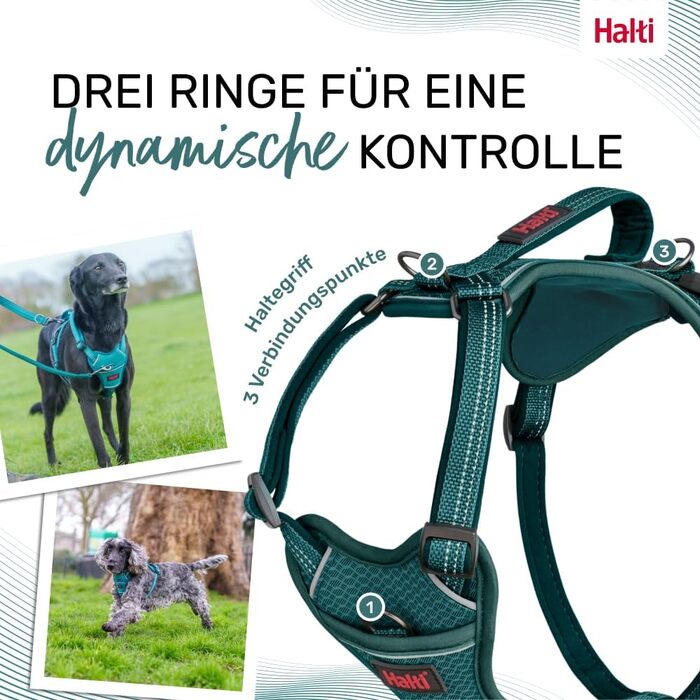 Шлейка для собак HALTI Anatomy з ручкою свобода рухів для вашого улюбленця. 3 точки кріплення для повідка, неопренова підкладка, регульована та світловідбиваюча (Розмір L, Блакитно-зелений) Блакитно-зелений L