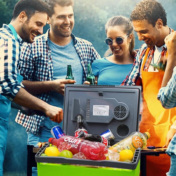 Літровий холодильник 2-в-1 Електричний холодильник Сумка-холодильник Ізольована сумка Термобокс Ящик для підігріву Автомобільний Кемпінговий Термохолодильник Gora Grey/Gilmo Green, 30-