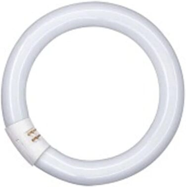 Люмінесцентна лампа Osram Lumilux T9 C, основа G10Q, 22 Вт, холодний білий - 4000K