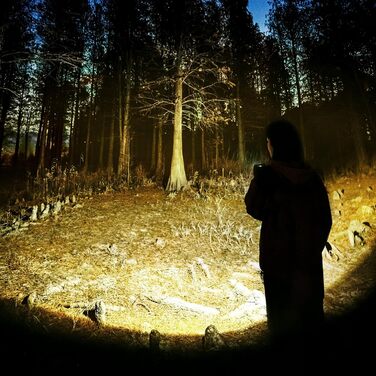 Ліхтар для кемпінгу Naturehike 1200 лм, акумуляторний світлодіодний робочий ліхтар, багатофункціональний, водонепроникний IPX4, 5 режимів світла, ідеально підходить для активного відпочинку на природі та кемпінгу, зелений