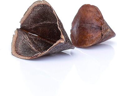 Подушка для йоги BODYMATE Half Moon, 42 см завдовжки, 30 см завширшки та 15 см заввишки, з наповнювачем з гречаної лушпиння Чохол, який можна прати в пральній машині, виготовлений зі 100 надтовстої бавовни Подушка для медитації Подушка сидіння, світло-сір