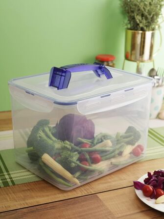 Герметичний контейнер Lock&Lock Classic з ручками та зливним отвором, 10 л 29,5 x 23 x 20,3 см 100 герметичний та водонепроникний контейнер для зберігання продуктів з кришкою Морозостійкий контейнер 10 л зливна решітка
