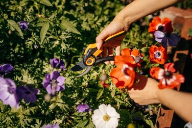 Садові ножиці Fiskars Bypass, Plus SmartFit, P541, Для свіжих гілок та сучків, Антипригарне покриття, Леза з нержавіючої сталі, Довжина 20,1 см, Чорний/Помаранчевий, 1057169 Садові ножиці P541 Одинарні