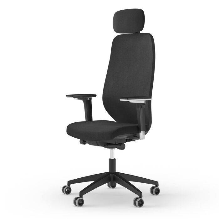 Ергономічне офісне крісло Ergotopia MasterBack Pro ПЕРЕМОЖЕЦЬ ТЕСТУ Ергономічне офісне крісло з 3D-механізмом нахилу та 5D-підлокітниками Ідеально підходить як поворотне крісло для офісу та дому. Чорний, професійний.