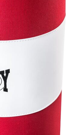 Боксерський набір Bad Company для дітей та підлітків до 12 років I Боксерська груша з підвіскою 55 х 25 см і боксерськими рукавичк