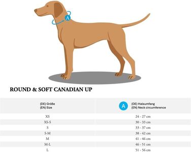 Ошийник для собак HUNTER Round & Soft Canadian UP, колір коньяк, м'яка та гладка шкіра, класичний дизайн, делікатний до шерсті, круговий прошитий, екологічно стійкий, виготовлено в Німеччині, розмір 45 коньяк 45