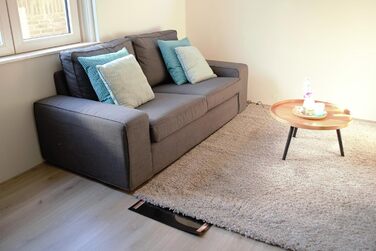 Обігрівач для килимів/караванів з ізоляцією та вимикачем (50 * 120 см 120 Вт)