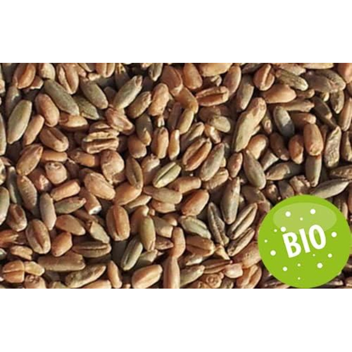 Подушка для шиї зі стійкою, органічна тканина та органічні зерна. Подушка для шиї Дикі тварини, тепла подушка - 2 в 1 - можливе тепло та холод - органічний житньо-пшеничний наповнювач