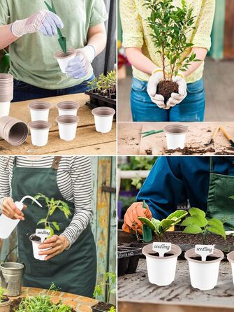 Горщики для розсади 9 см з лотком для розсади (без отворів) 4 лотки для посадки з 50 горщиками для розсади, для підвіконь та теплиць, для пророщування рослин, мікрозелені, гідропонного вирощування, 50 шт. білого пластику 9 см та лоток