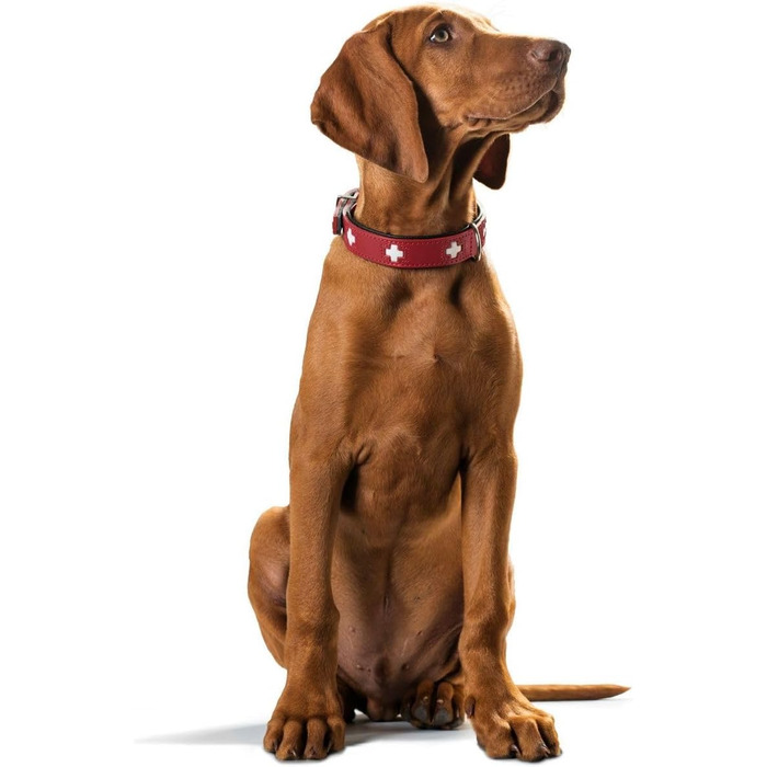 Нашийник для собак Hunter (Швейцарський дизайн), з органічної шкіри