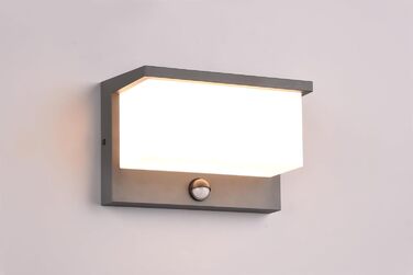 Стічний LED-світильник Trio Leuchten Nestos 240969142, алюміній (антрацит), білий пластиковий плафон, 13 Вт, з датчиком руху