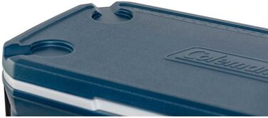 Великий термобокс з високою місткістю, високоякісною ізоляцією з поліуретанової піни, портативний термобокс ідеально підходить для кемпінгу, пікніків або фестивалів, 49 літрів (зберігає прохолоду до 4 днів), одинарний