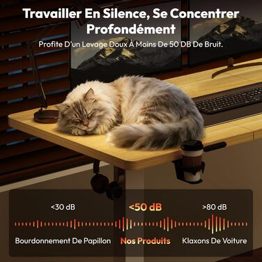 Письмовий стіл з регульованою висотою 200x80 см, Електрично регульований ергономічний комп&39ютерний стіл з функцією пам&39яті для роботи сидячи/стоячи (клен) 200 x 80 см клен