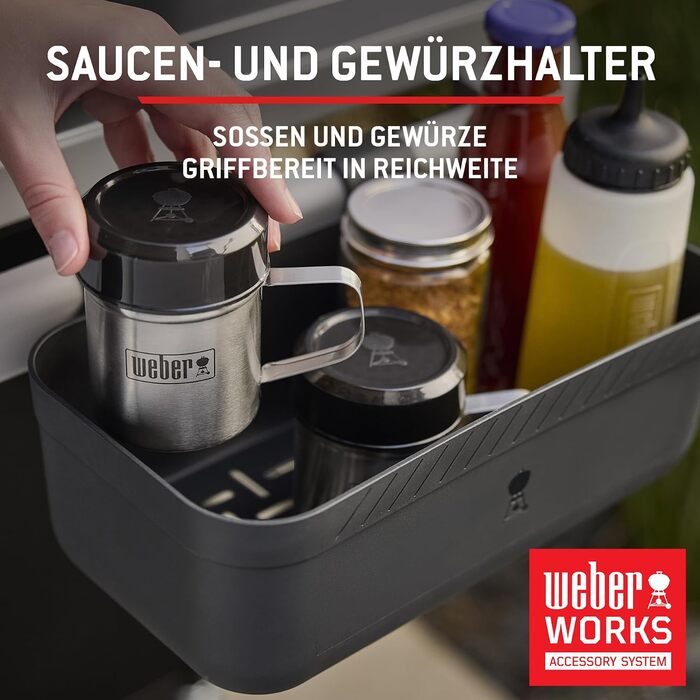 Газовий гриль Weber Spirit E-310