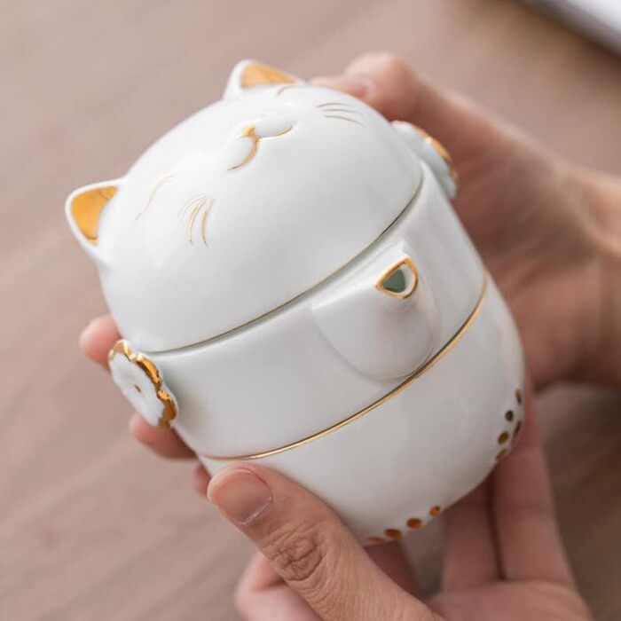 Набір для чаювання RORA в дорозі керамічний чайник ручної роботи в стилі Кунфу, портативний набір Все в одному (1 чайник, 2 чашки) для подорожей, офісу та дому (білий)