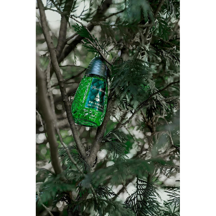 Чоловіча туалетна вода Pino Silvestre Original (125 мл)