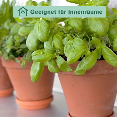 Теракотові горщики vensovo з блюдцями, 7,6 см, глиняний горщик, керамічний горщик, кактус, квіткові горщики, горщик для сукулентів, дренажний отвір, ідеально підходить для рослин, виробів, весільних подарунків, 12 шт. , коричневий 1