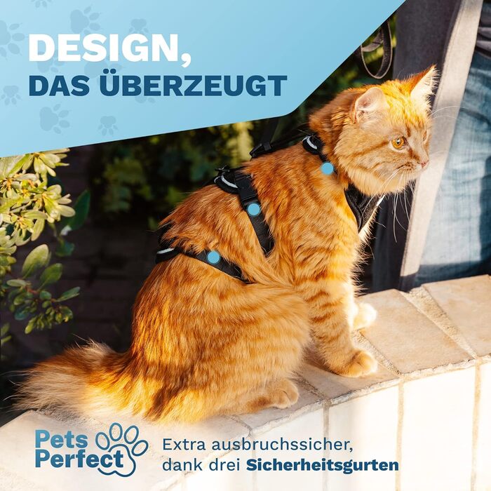 Шлейка для котів Pets Perfect - Надміцна шлейка для котів із повідком, що запобігає втечі - Повідець для котів - Наш комплект шлейок для котів забезпечує безпеку під час прогулянок (S)