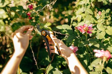 Садові ножиці Fiskars Bypass, Plus SmartFit, P541, Для свіжих гілок та сучків, Антипригарне покриття, Леза з нержавіючої сталі, Довжина 20,1 см, Чорний/Помаранчевий, 1057169 Садові ножиці P541 Одинарні