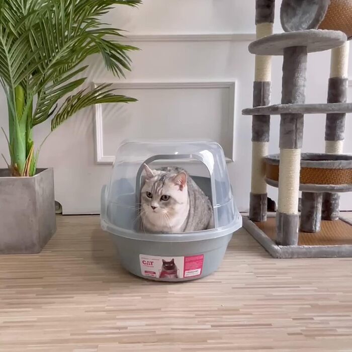Котячий туалет XXL з кришкою, великий котячий туалет з капюшоном та дахом для великих порід котів або мультикотів, сірий, 63x48x43 см від Petphabet