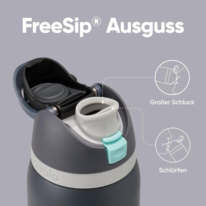 Ізольована пляшка для води Owala FreeSip з нержавіючої сталі, 945 мл, Foggy Tide
