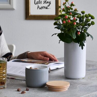 Керамічні банки для зберігання SPRINGLANE 2 шт. Набір з дерев'яними смужками кришки, гумовими дерев'яними кришками, ящиками для зб